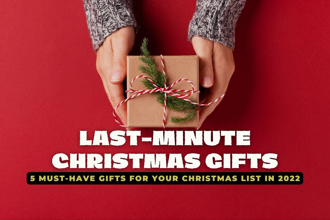 5 Must Have Gifts For Your Christmas List In 2022 - Santaland