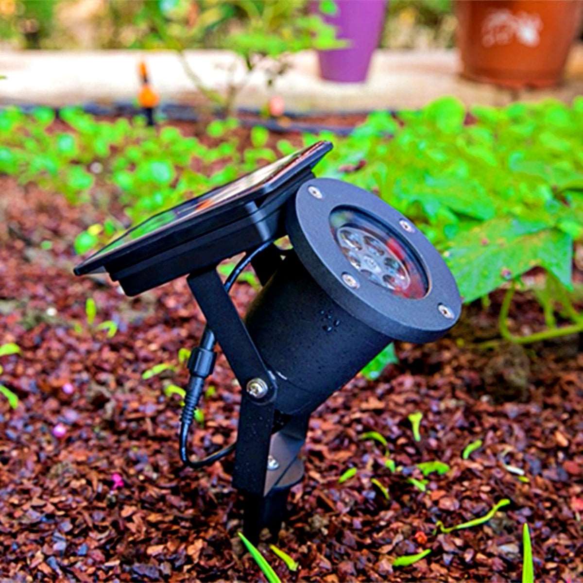 Solar powered Christmas Lights Projector - Santaland