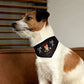 Christmas Pet Bandana Collar On Small Dog - Santaland